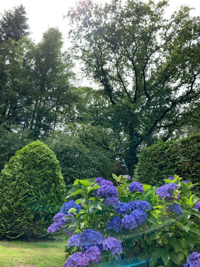 Zonnebos, Private Garden, Fresh Air, Relax! Villa อ็อตเตอร์โล ภายนอก รูปภาพ